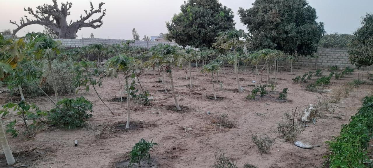 Saly Lrad Le Village Ngaring Esterno foto