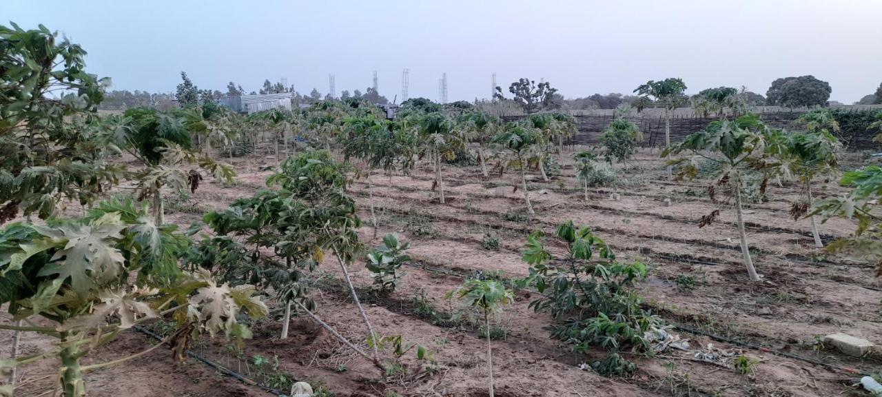 Saly Lrad Le Village Ngaring Esterno foto
