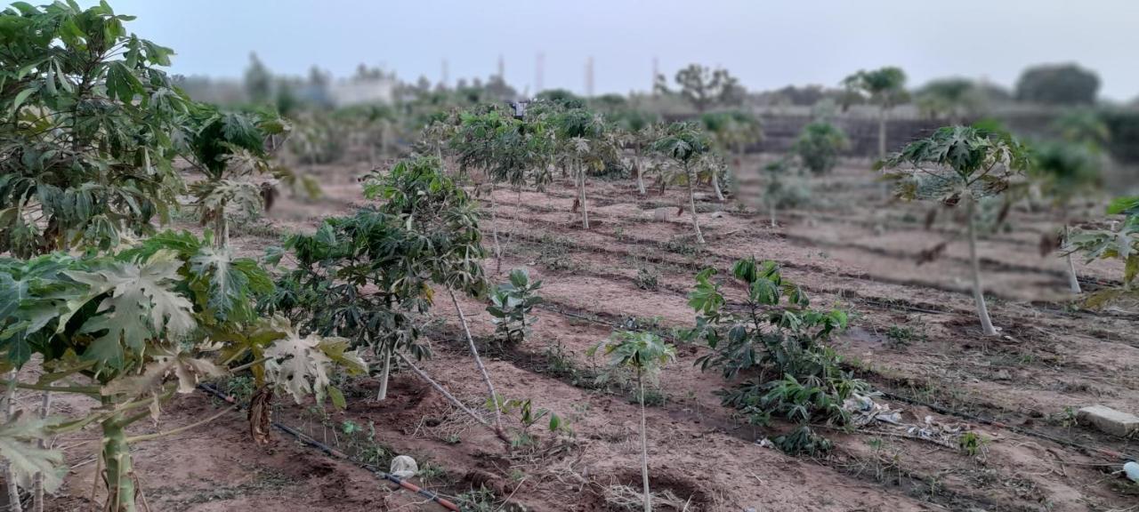 Saly Lrad Le Village Ngaring Esterno foto